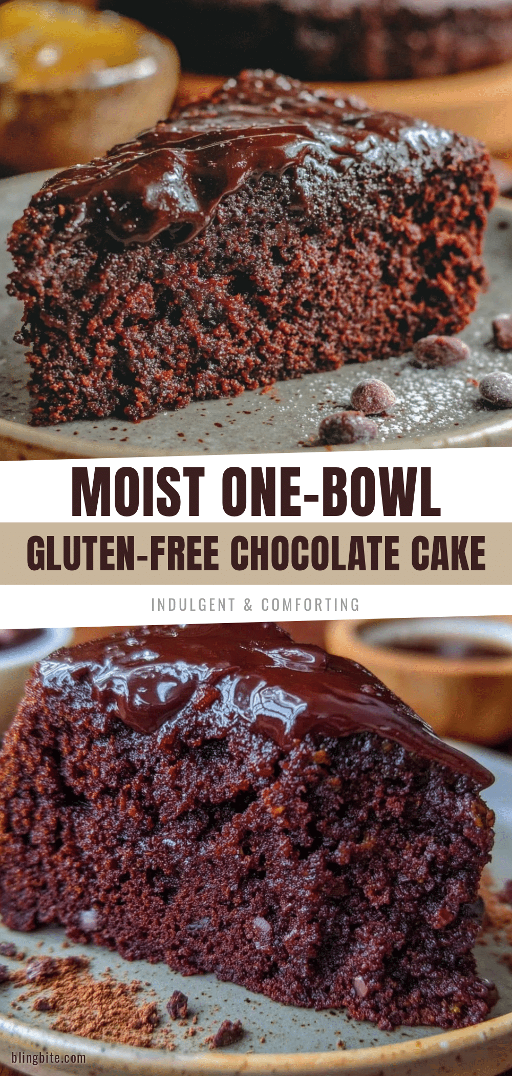 moist one-bowl gluten-free chocolate cake recipe