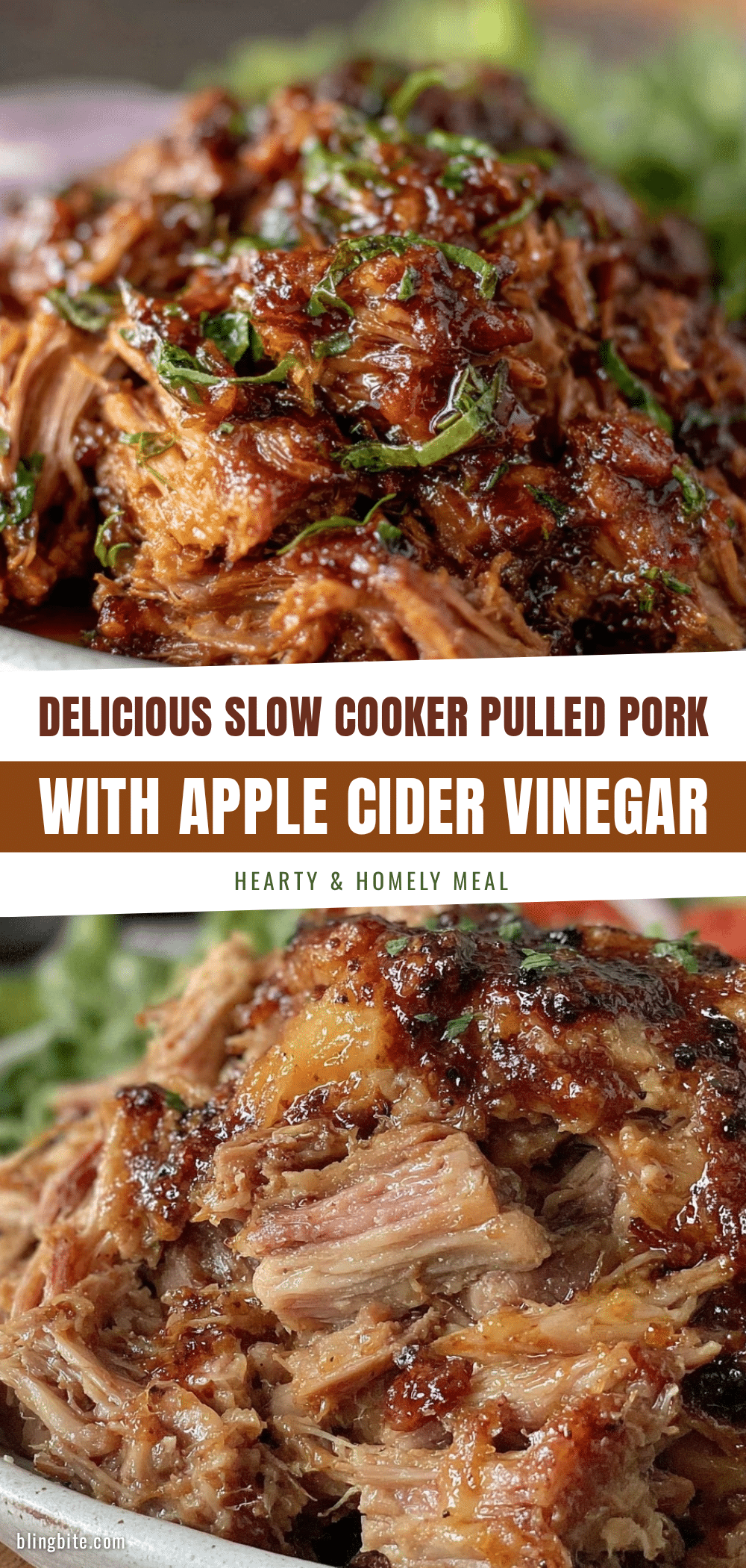 tender slow cooker pulled pork recipe
