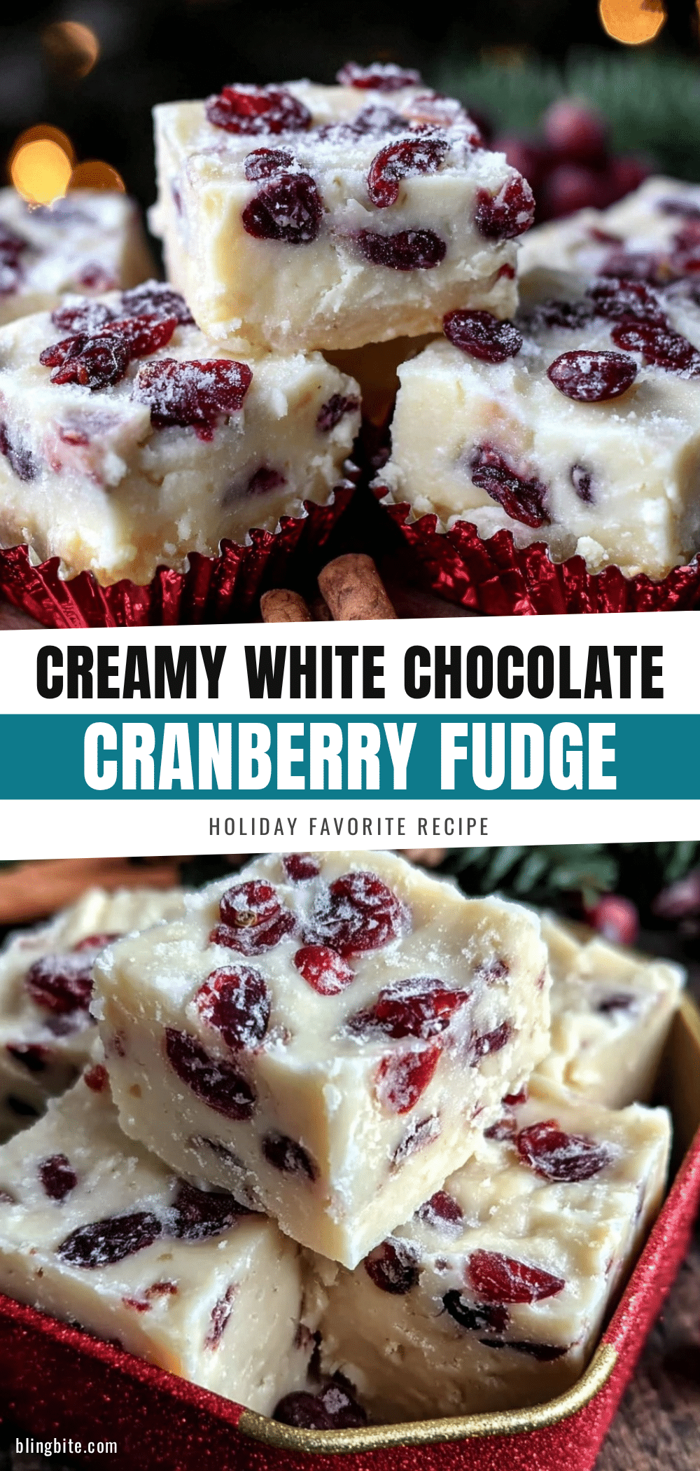 white chocolate cranberry fudge recipe