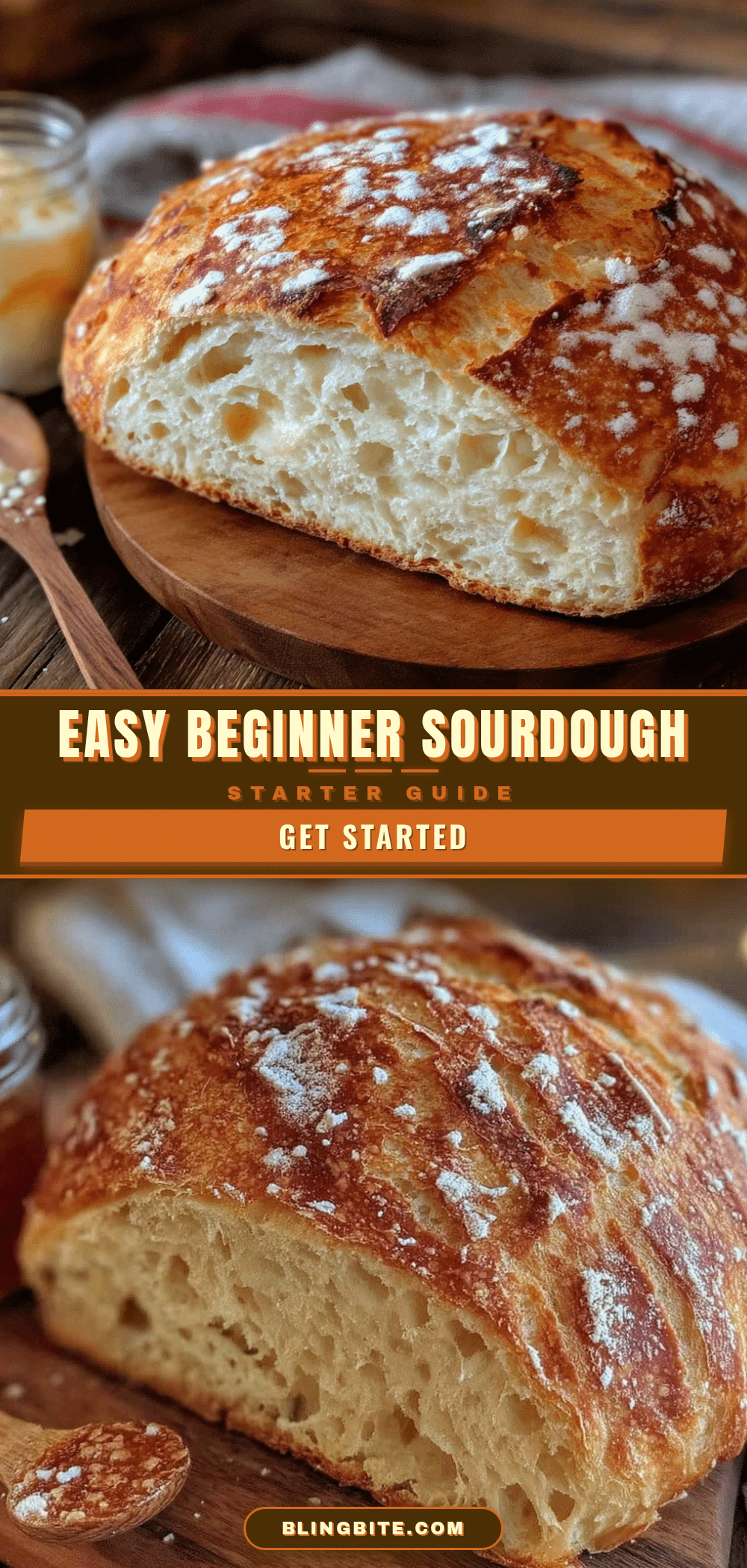 easy beginner sourdough starter recipe