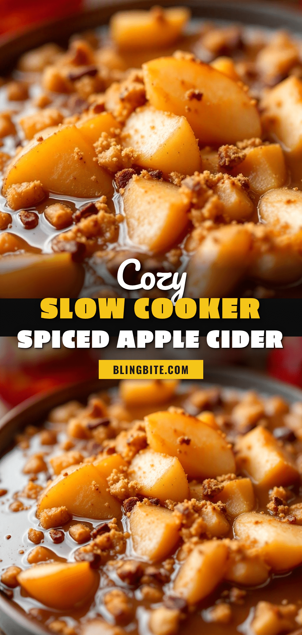slow cooker spiced apple cider recipe