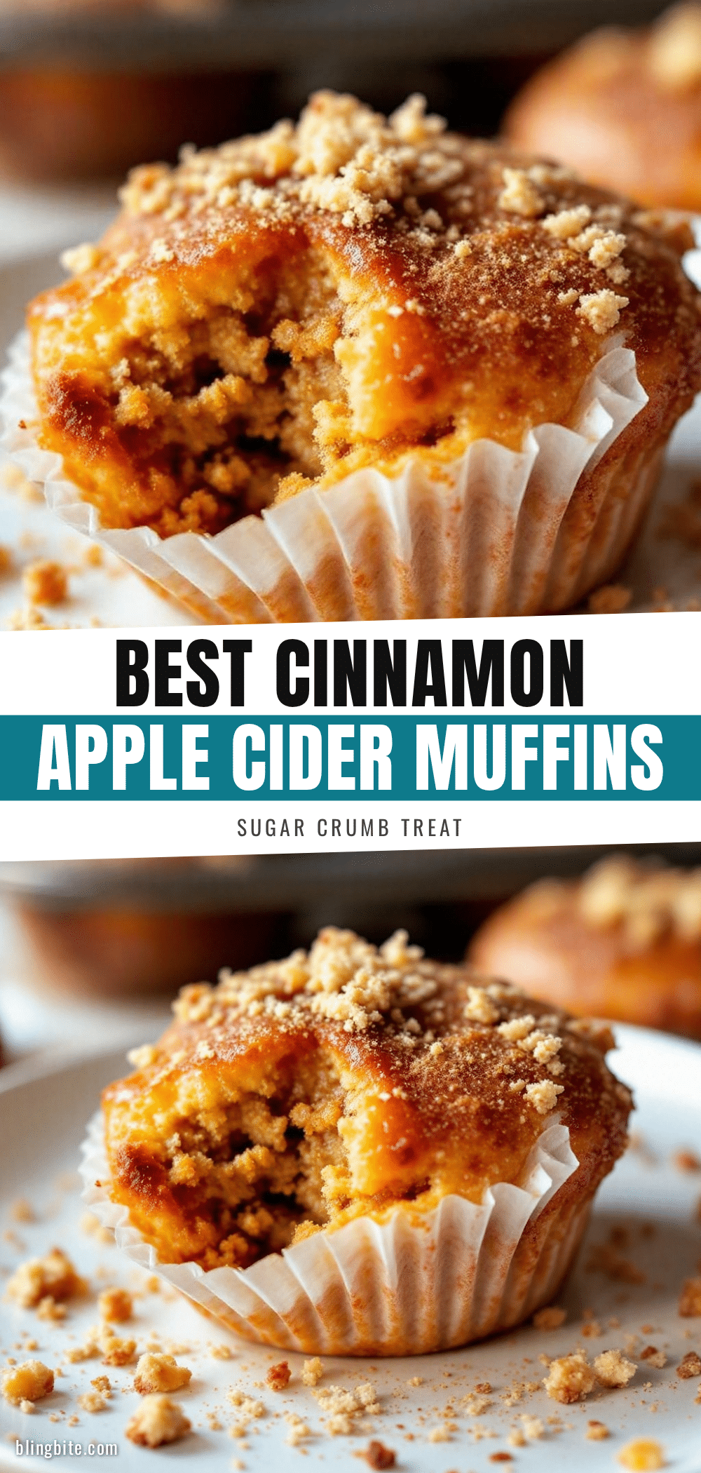Cinnamon Sugar Apple Cider Donut Muffins recipe