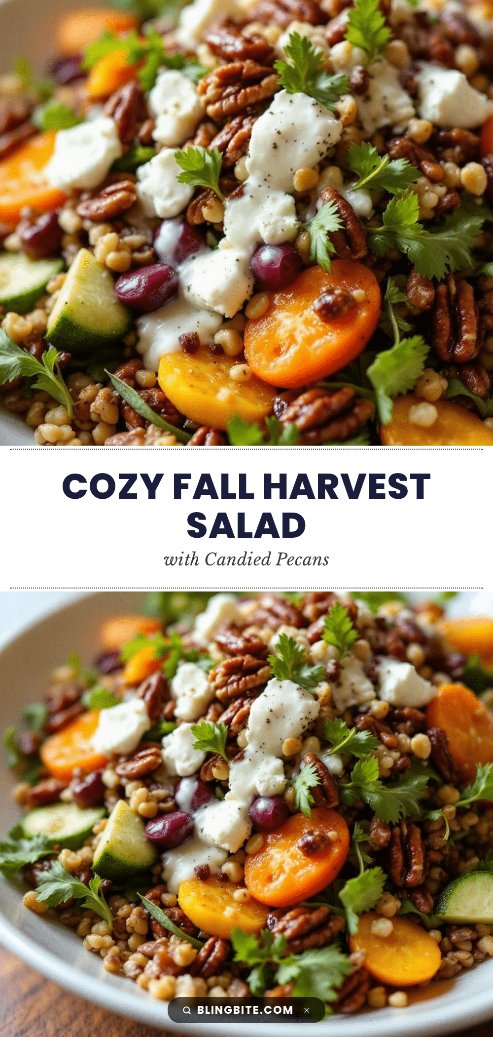 Cozy Fall Harvest Salad with Candied Pecans recipe