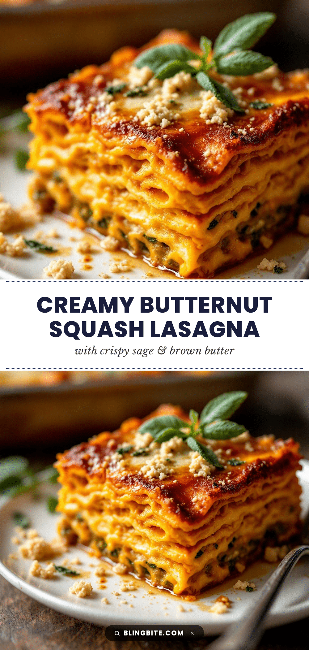 creamy butternut squash lasagna recipe