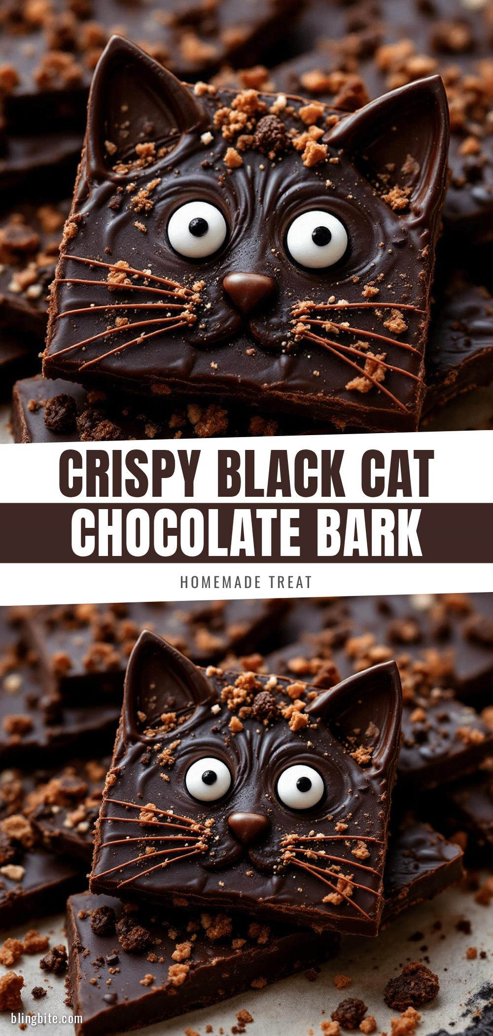 crispy black cat chocolate bark recipe