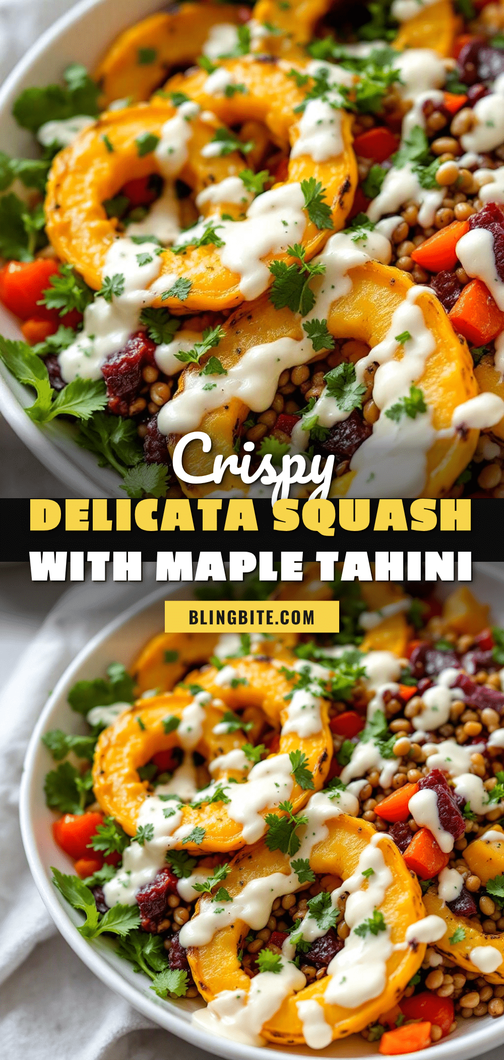crispy delicata squash rings recipe