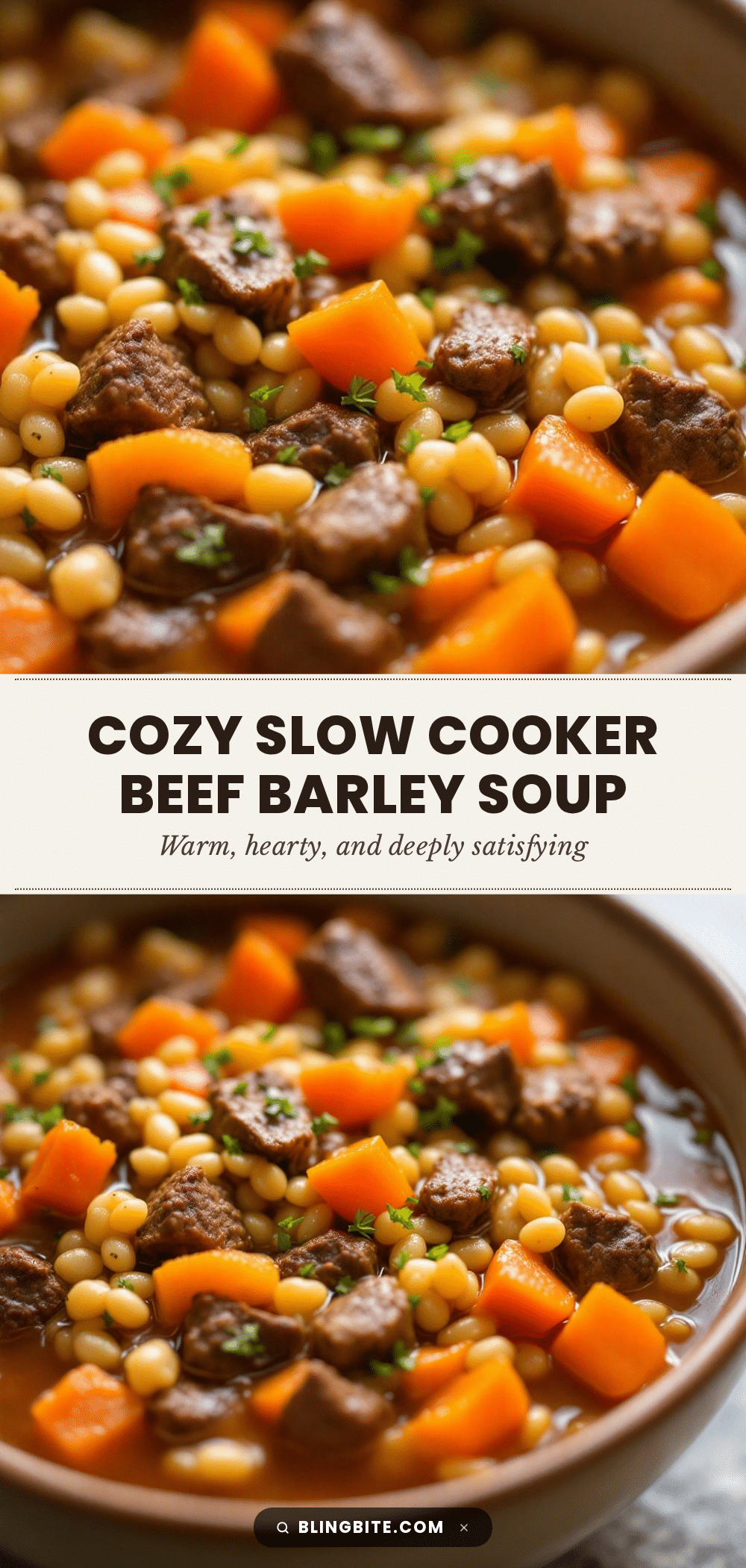slow cooker beef vegetable barley soup recipe