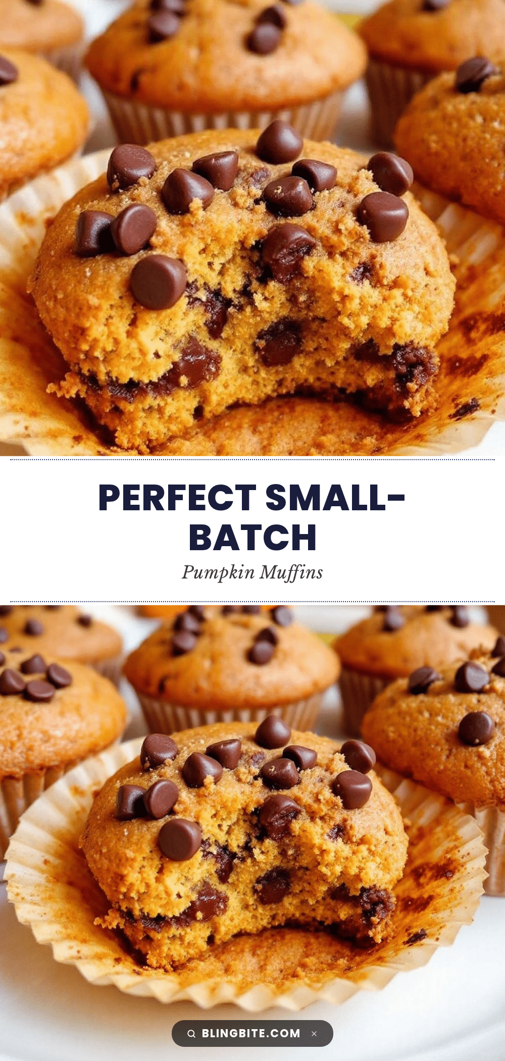 small-batch pumpkin chocolate chip muffins recipe