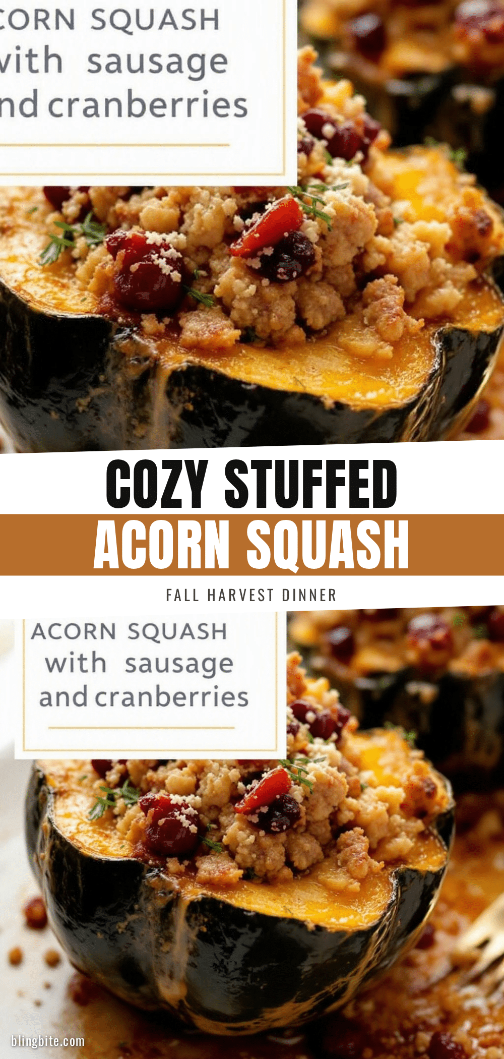 stuffed acorn squash with sausage and cranberries recipe