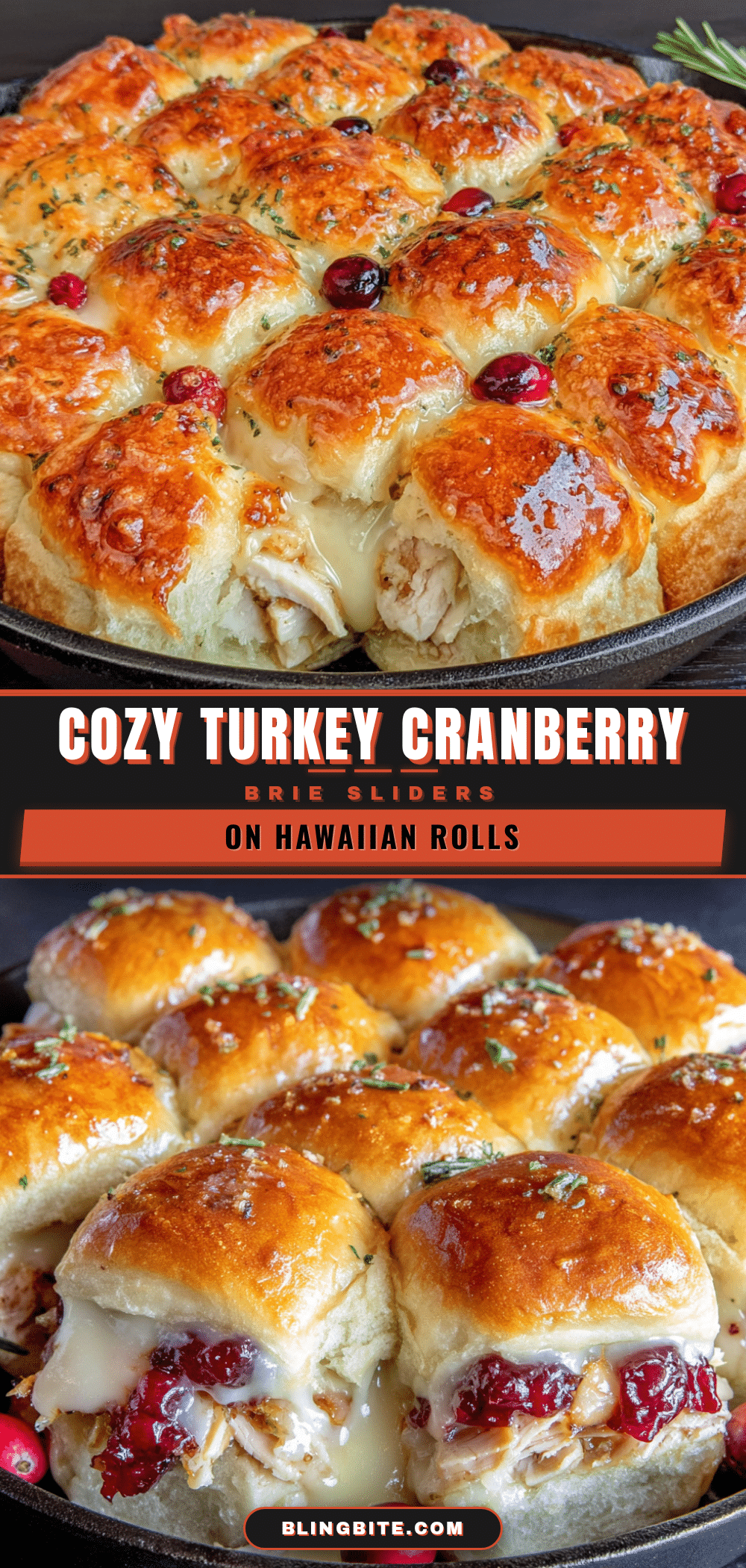 Turkey cranberry brie sliders recipe